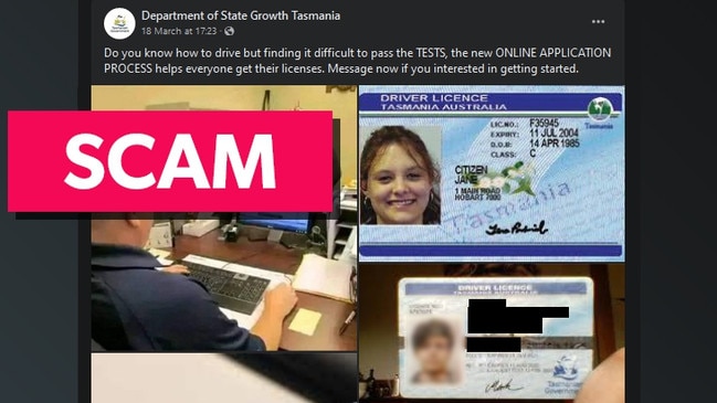 Tasmanians warned against scam from fake Facebook account offering licenses. Image: Facebook.