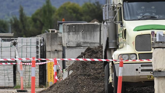 NSW Premier Chris Minns said the contaminated garden mulch is a serious concern. Picture: NCA NewsWire / Martin Ollman