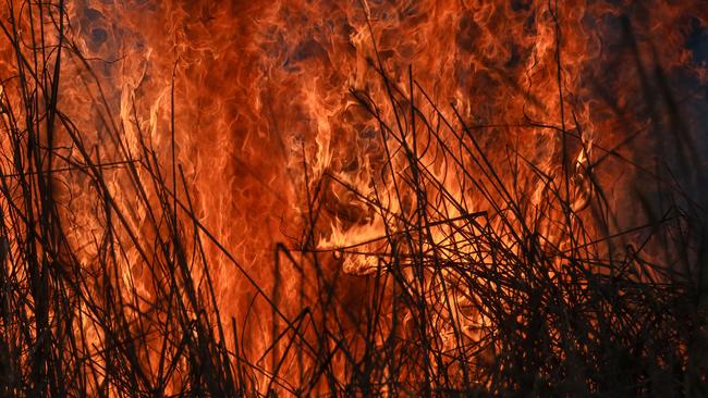 More than 30 CFA units were required to bring a series of fires lit by a Bendigo miner under control on Easter weekend 2024. Picture: Glenn Campbell