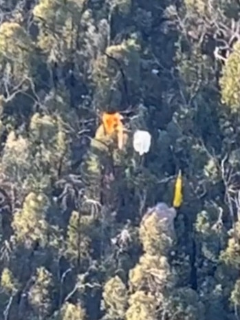 The paraglider became stuck 10m high in a tree in the High Country. Picture: supplied