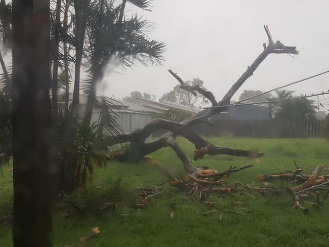Cyclone Debbie - Facebook user Tracy Levett posted this image of her backyard in Bowen, Queensland. Permission given. Picture: Tracy Levett/Facebook