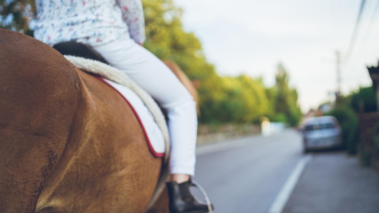 It's actually illegal not to give way to a hard-to-control horse.