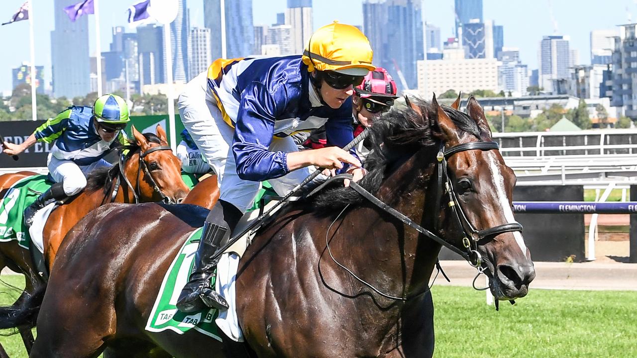 Weekend Best Bets: Caulfield, Rosehill And Doomben Horse Racing Tips ...