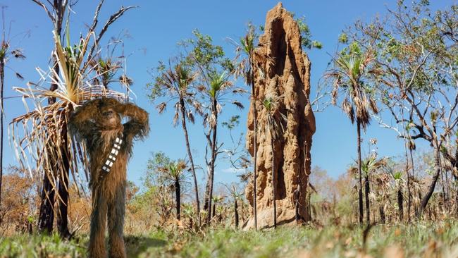 Wookiee-like noises have been heard around Litchfield, perhaps Chewbacca is taking a stroll around the park. Picture: NT News