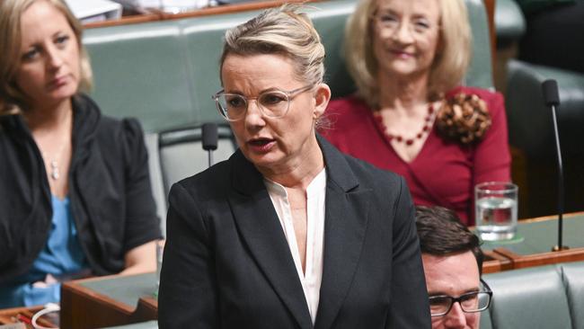 Deputy Leader of the Opposition Sussan Ley criticised the outburst. Picture: NCA NewsWire / Martin Ollman