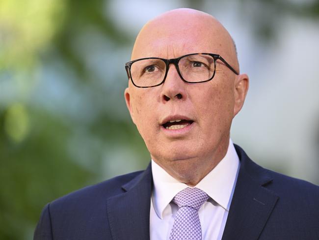 CANBERRA, AUSTRALIA - NewsWire Photos - November 19, 2024: Leader of the Opposition Peter Dutton holds a press conference at Parliament House in Canberra. Picture: NewsWire / Martin Ollman