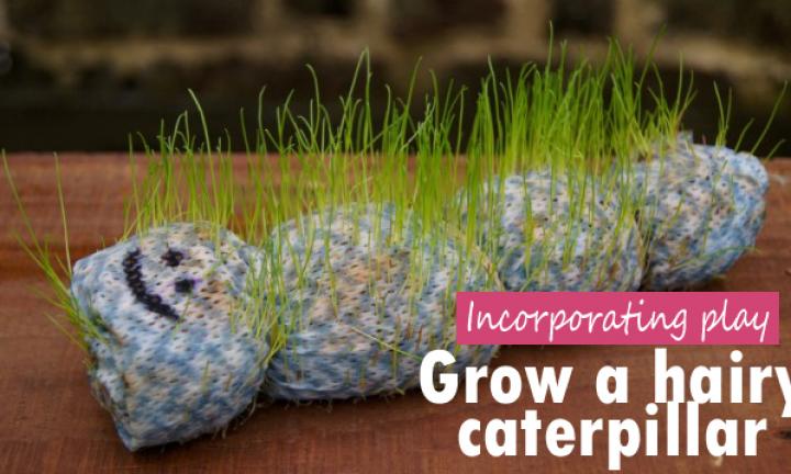 How to Make a Grass Caterpillar For Your Garden - A Few Shortcuts