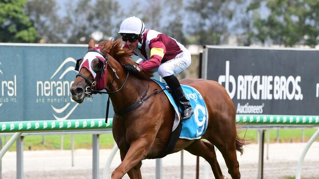 Swift Witness scored on the Gold Coast at the weekend. Picture: Trackside Photography