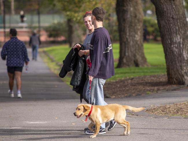 A Yarra councillor believes increased scrutiny on dog owners is “blatant revenue raising”.