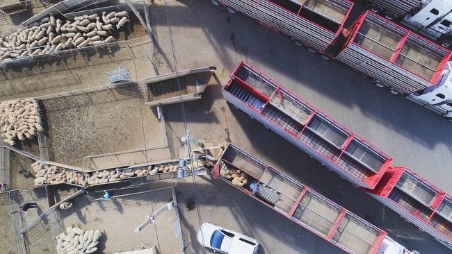 Dubbo Livestock saleyard facility. Photo: Supplied.