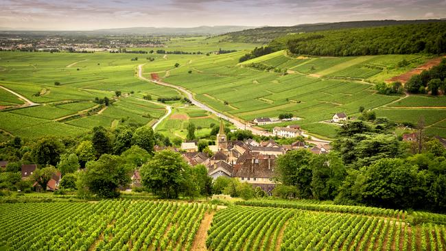 Burgundy, France.