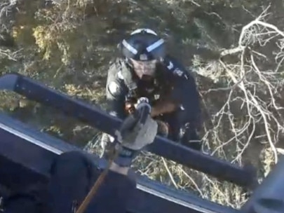 Extraordinary police chopper footage has captured the moment a paraglider stuck 10m high in a tree in the High Country was winched to safety.