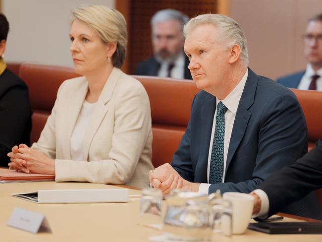 CANBERRA, AUSTRALIA - NewsWire Photos - 29 JULY, 2024: Australian Prime Minister Anthony Albanese holds a Full Ministry Meeting inside the Cabinet Room at Parliament House in Canberra. Pictured are Tanya Plibersek (L) and Tony Burke (R). Picture: NewsWire / David Beach