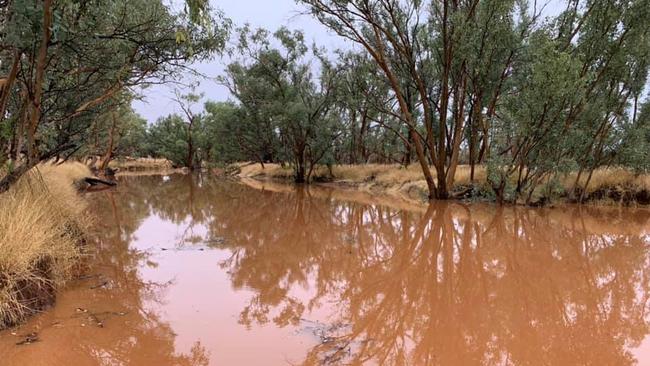 34mm overnight at Gemtree. Gillen creek is flowing. PIC: Leanne Goodall, ABC Alice Springs Facebook