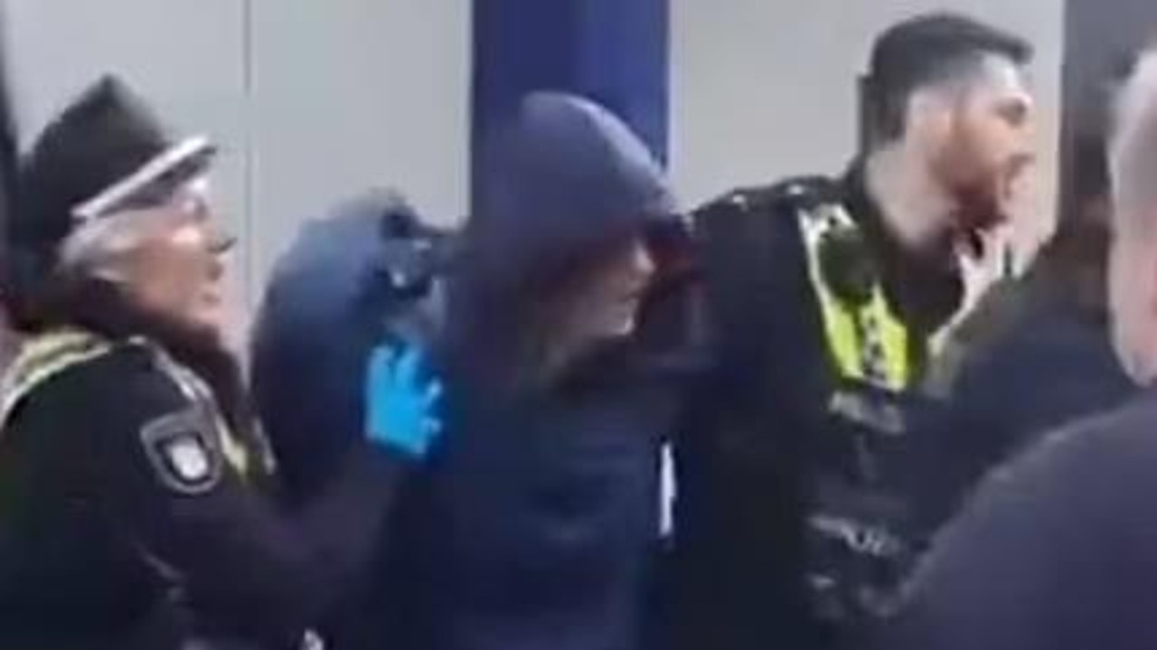 17 stabbed, horror rampage, woman arrested