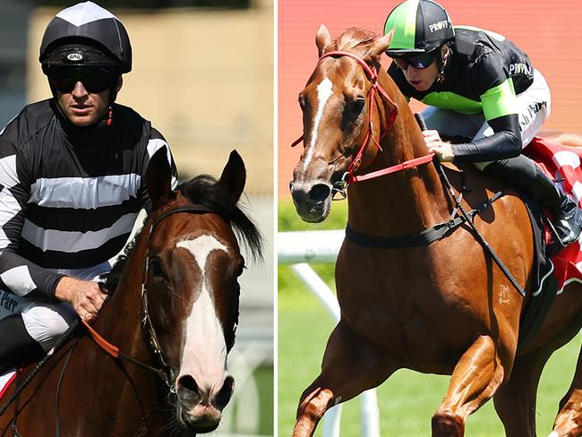 Stakes-grade racing awaits in-form gallopers Disneck (left) and Accredited. Pictures: Jeremy Ng / Getty Images