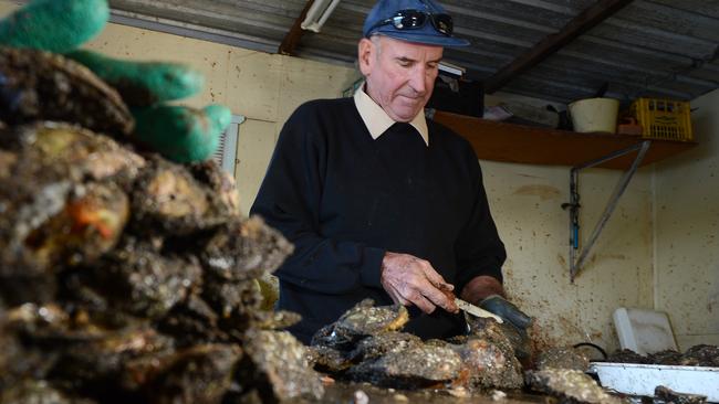 Peter Cliftgets to work harvesting pearls from Brisbane Water off Woy Woy on the Central Coast.