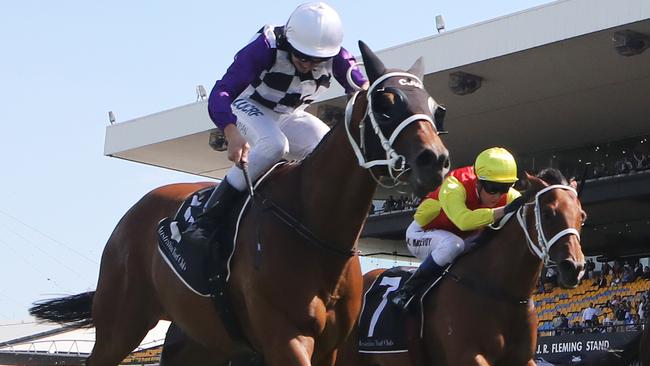 Invinzabeel is ready to win third-up in the Civic Stakes at Rosehill Gardens. Picture: AAP