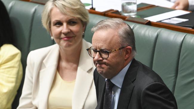 Minister for Environment and Water Tanya Plibersek and Prime Minister Anthony Albanese during Question Time. Picture: NCA NewsWire / Martin Ollman