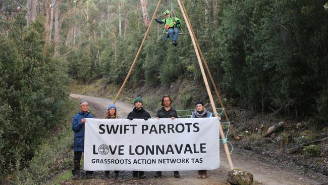 SWIFT ACTION: Environmentalists disrupt logging at Lonnavale forest. Picture: Supplied