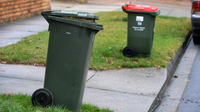 Food scraps should be put in the green bin.