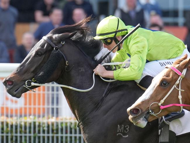 Amenable ridden by Damian Lane wins the Thoroughbred Club Australia Handicap  at Caulfield Racecourse on August 19, 2023 in Caulfield, Australia. (Photo by Scott Barbour/Racing Photos via Getty Images)