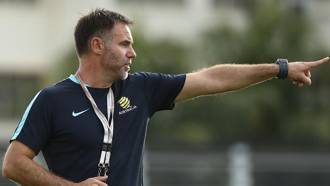 Ante Milicic has been handed the Matildas coaching job.
