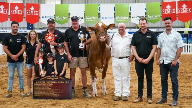 Lightning Ridge Cmd Dback Barbara, Instyle And Rusty Red, from Simpson, won Australia's Supreme Champion. Picture: Rachel Simmonds