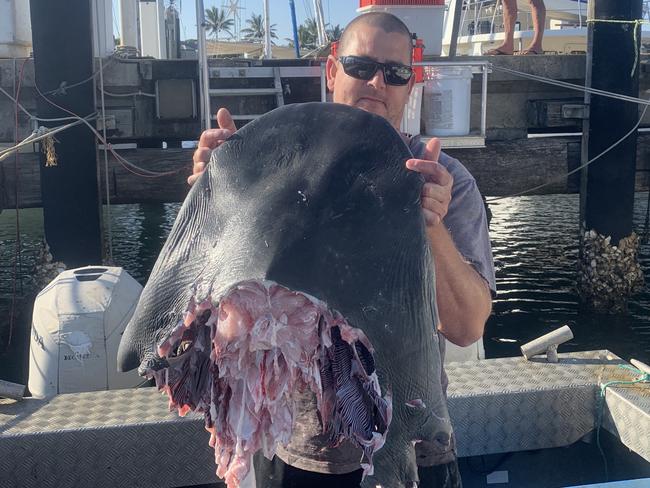 Joel Merchant with what is left of shark he caught. It was eaten by bigger sharks.