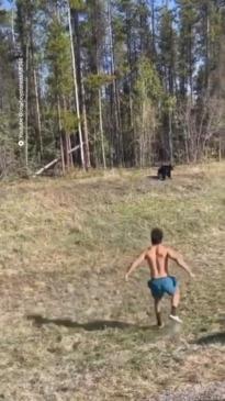 Shirtless man chases bears in Yellowstone Park