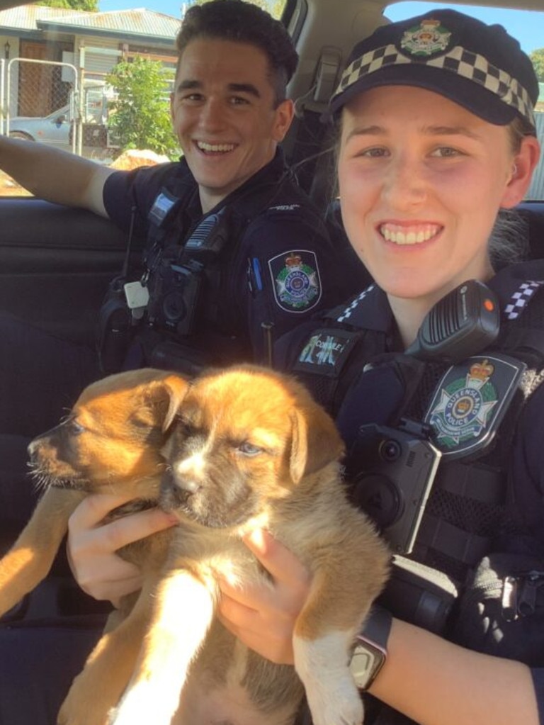 The remaining two were found on Tuesday. Picture: Queensland Police