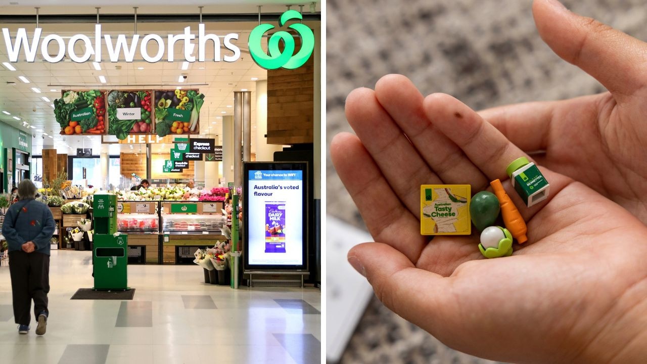 Woolworths Collectible Bricks 1 NEW Groceries Food Woolworth Customer