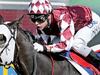 Action and colour from the Prime Minister's Cup at the Gold Coast Turf Club.Tinto wins race 4 ridden by Timothy Bell. Pic by Luke Marsden.