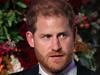 Glaring Harry detail in royal leak claims