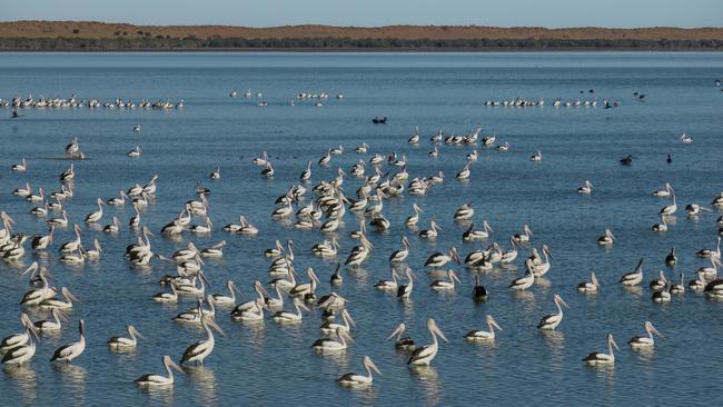 Rainwaters moving through western Queensland’s Channel Country. Picture: Kerry Trapnell / Pew Trusts