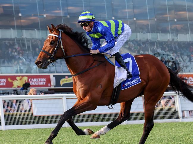 Attrition prior to winning the Toorak Handicap at Caulfield last year. Picture: George Sal-Racing Photos via Getty Images