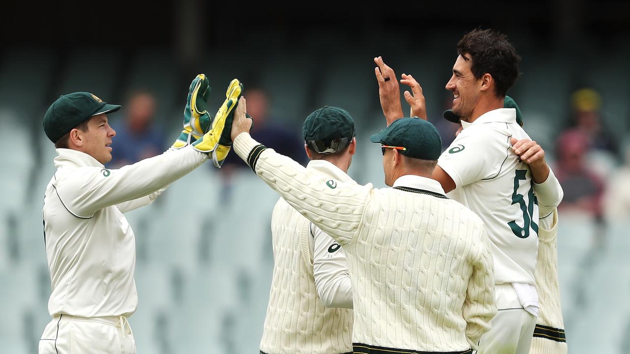 Tim Paine and Mitchell Starc haven't celebrated as many wickets as they would have hoped entering the summer. (Photo by Mark Kolbe/Getty Images)