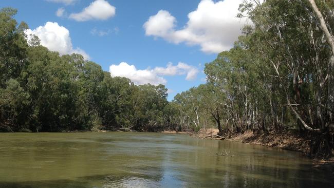 Riverside Camping Property At Barham, Nsw, For Sale Through Barham Real 