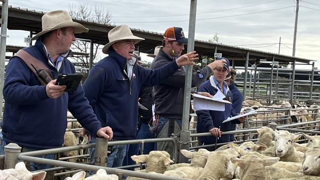 Tim Drum and James Tierney of Riverina Livestock Agents (RLA) take the bids during the Wagga Wagga sheep and lamb sale. Picture: Nikki Reynolds