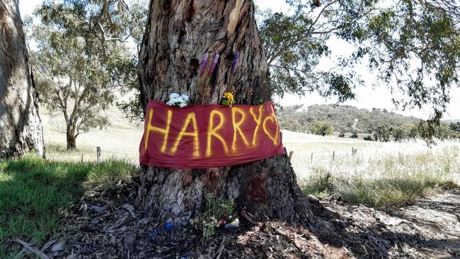 Harry Taplin-Barton lost his life in a Petwood crash in October. His motorcycle crashed into a tree. Picture: Anne-Marie Taplin