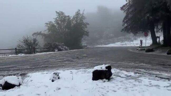 Winter Storm Turns California’s Berkeley Hills into Winter Wonderland