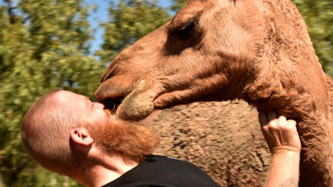 Dan Robson with Latte the camel at Maridan's Menagerie at Oak Valley. Picture: Evan Morgan