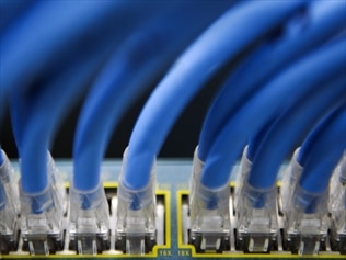 Ethernet cables are seen in a server room