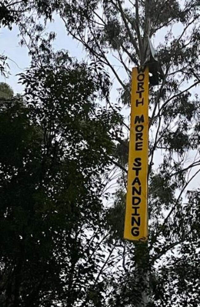 A protest sign in the forest.