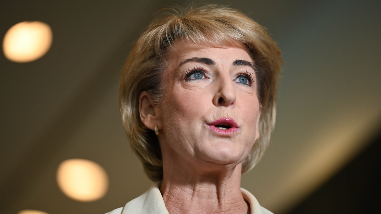 Michaelia Cash calls for John Setka to be banned from building sites