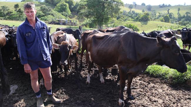 Dairy farmer Dan Portegys was one of many who called for Woolies and Coles to introduce the 10 cent levy. Picture: Bronwyn Wheatcroft