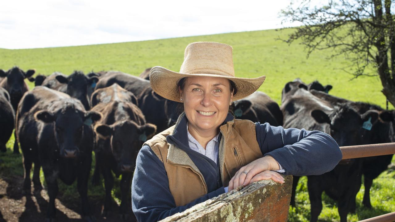 Olivia Lawson with her cattle. Picture: Zoe Phillips