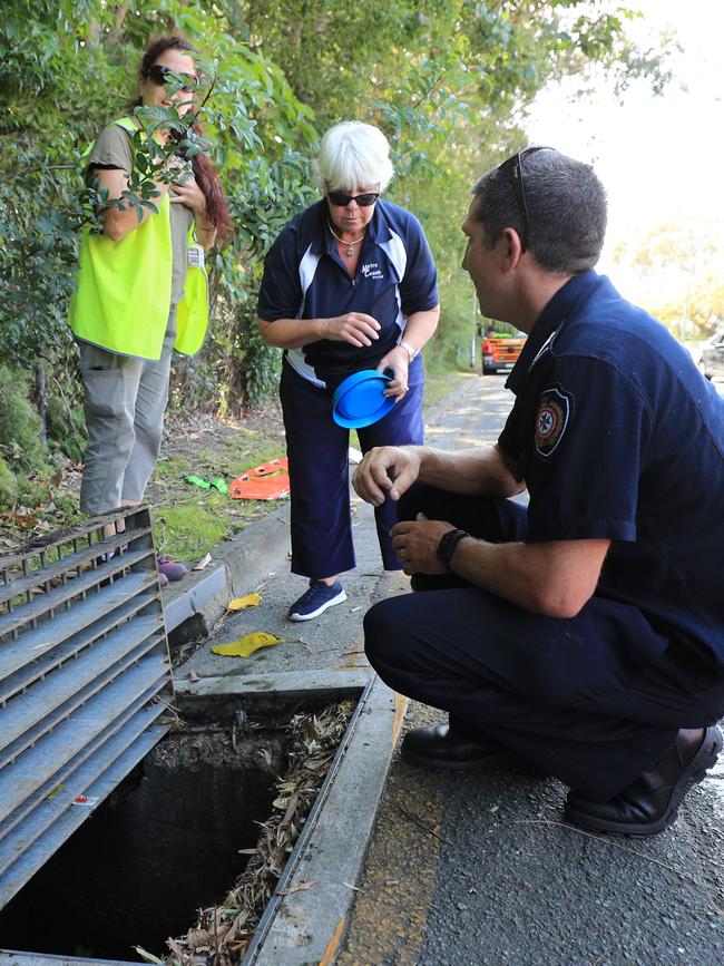 Firies had to help pry open this stormwater drain to rescue a baby duckling that fell down it and couldn’t escape. Photo: Scott Powick