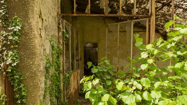 Bars rust and decay in buildings which once housed human exhibits. Picture: Seph Lawless