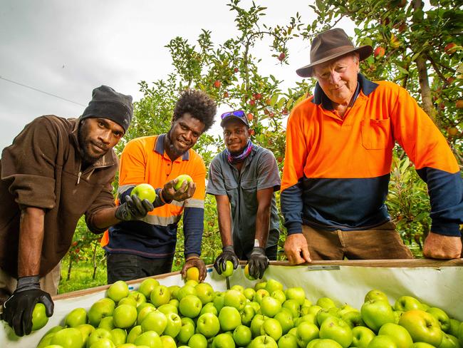 There are fears farmers will turn away from Pacific workers. Picture: Mark Stewart